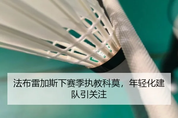 法布雷加斯下赛季执教科莫，年轻化建队引关注