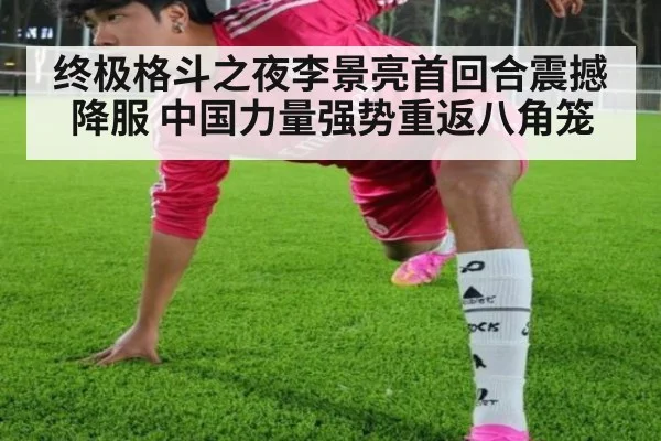 终极格斗之夜李景亮首回合震撼降服 中国力量强势重返八角笼